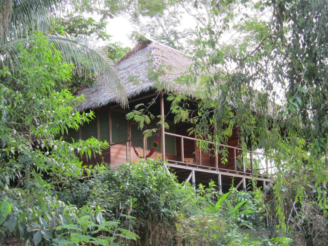 Sotupa Eco House Hostel Puerto Maldonado Exterior photo